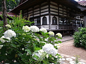 周辺観光スポット　その②　あじさい寺「深妙寺」・かんてんぱぱガーデン