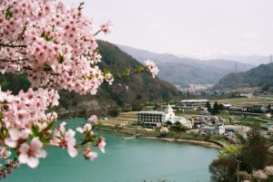 🌸2019年　春の宴会プラン🌸