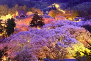 4月（観桜期）のご宿泊予約について