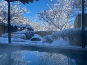 ⛄雪がふりました⛄