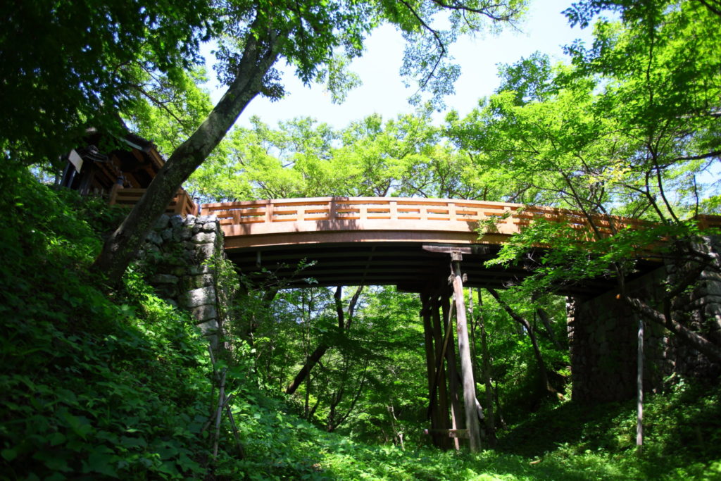 高遠城址公園（夏）