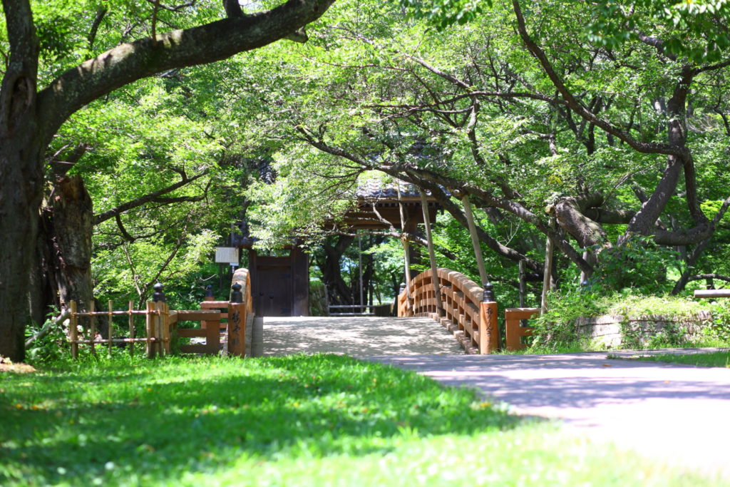 高遠城址公園（夏）