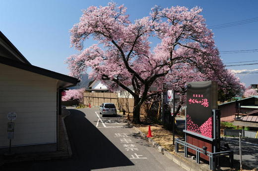 5月休館日のお知らせ