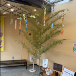 7月　本日より七夕飾り展示中★