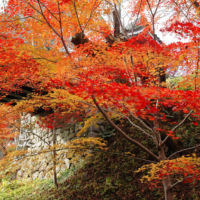 高遠城址公園の紅葉