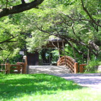 高遠城址公園（夏）