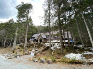 令和3年4月末の北沢峠　こもれび山荘周辺