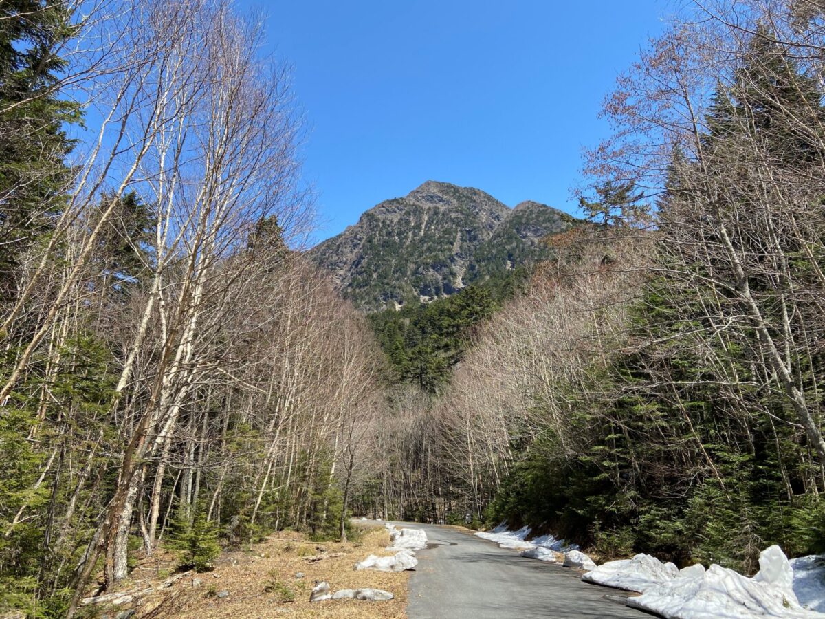 北沢峠　こもれび山荘　小屋開けしました。