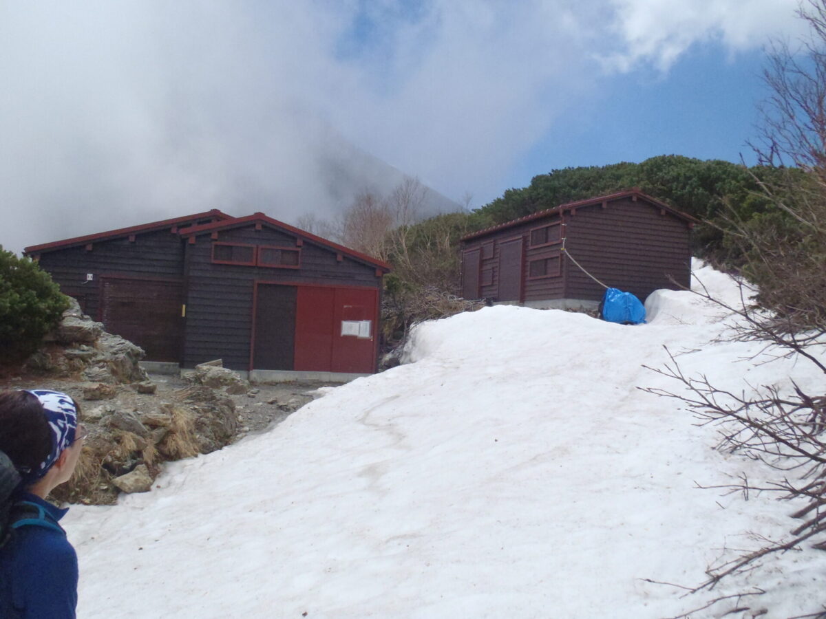 6月上旬の塩見小屋の様子