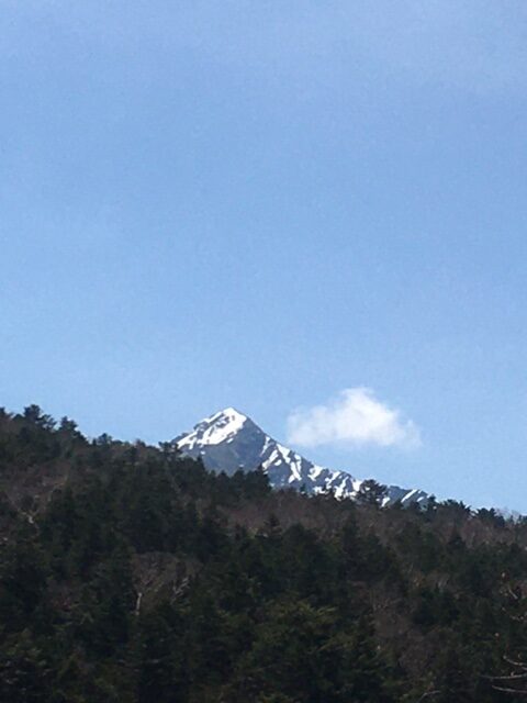 5月の北沢峠周辺