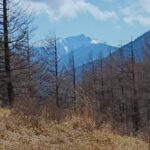 2026GW・塩見小屋営業